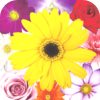 お花を摘みに