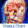 Visible Body Human Anatomy Atlas